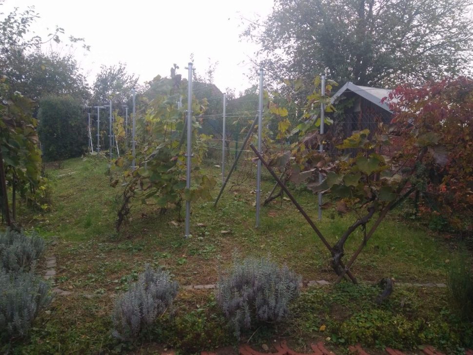 Isometall - zemné vruty - opora pre vinič